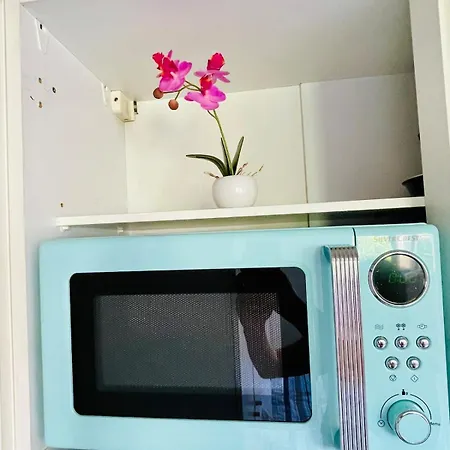 Apartment Bright Studio, Private Parking, Downtown Within Walking Distance *